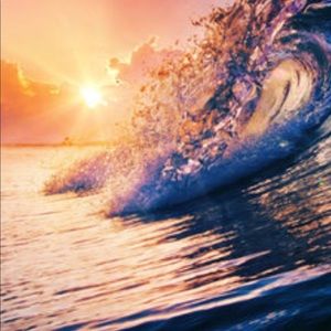 Meet your Posher, Jeanette